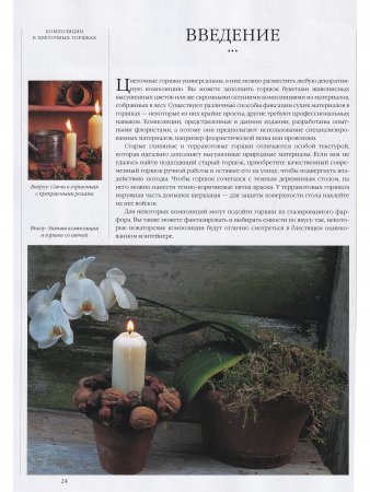 Композиции из цветов и листьев